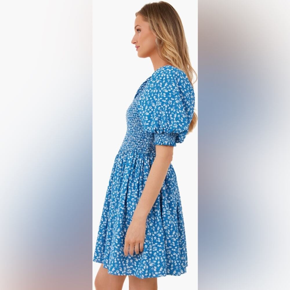 Tuckernuck Hyacinth House Ditsy Floral Pai Dress - Picture 3 of 8